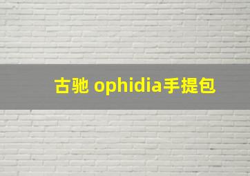 古驰 ophidia手提包